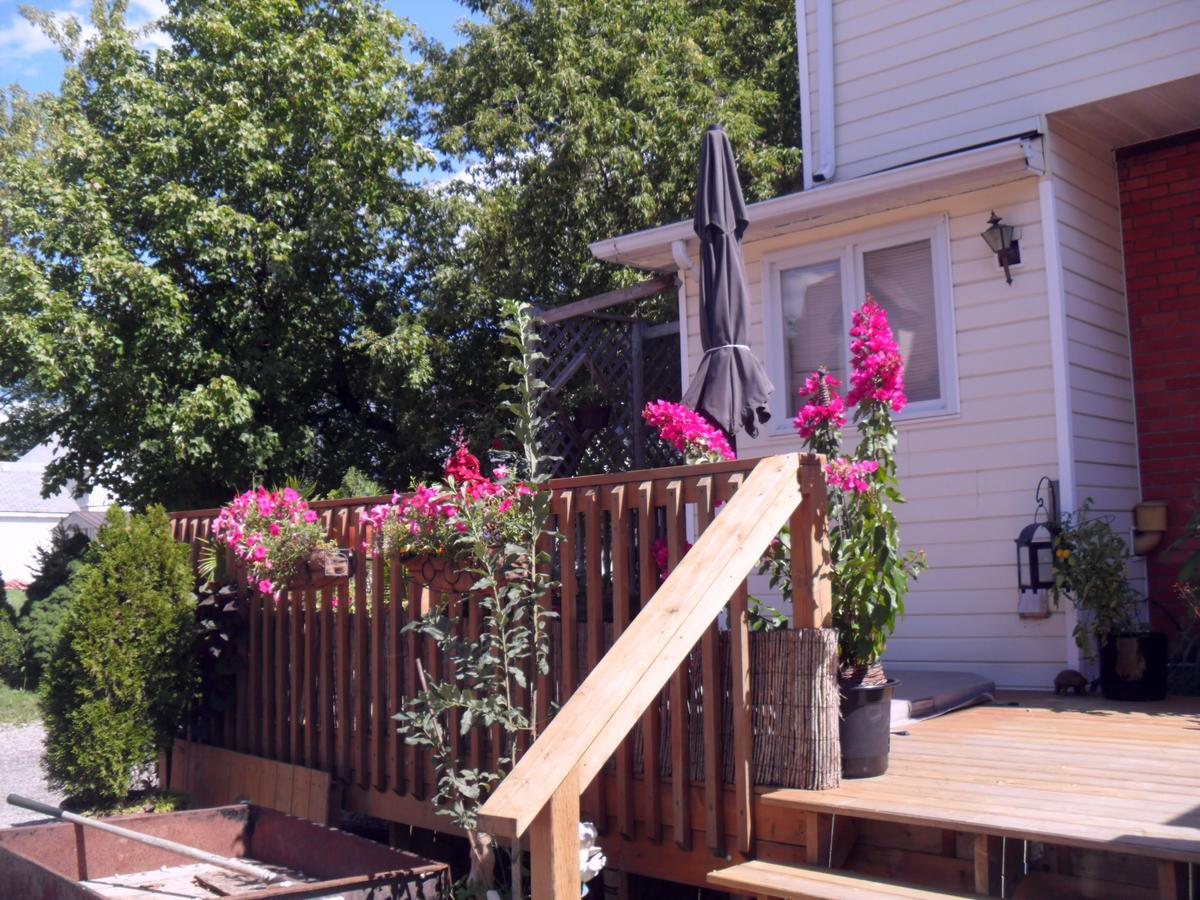 Homestead House B&B Hamilton Exterior foto