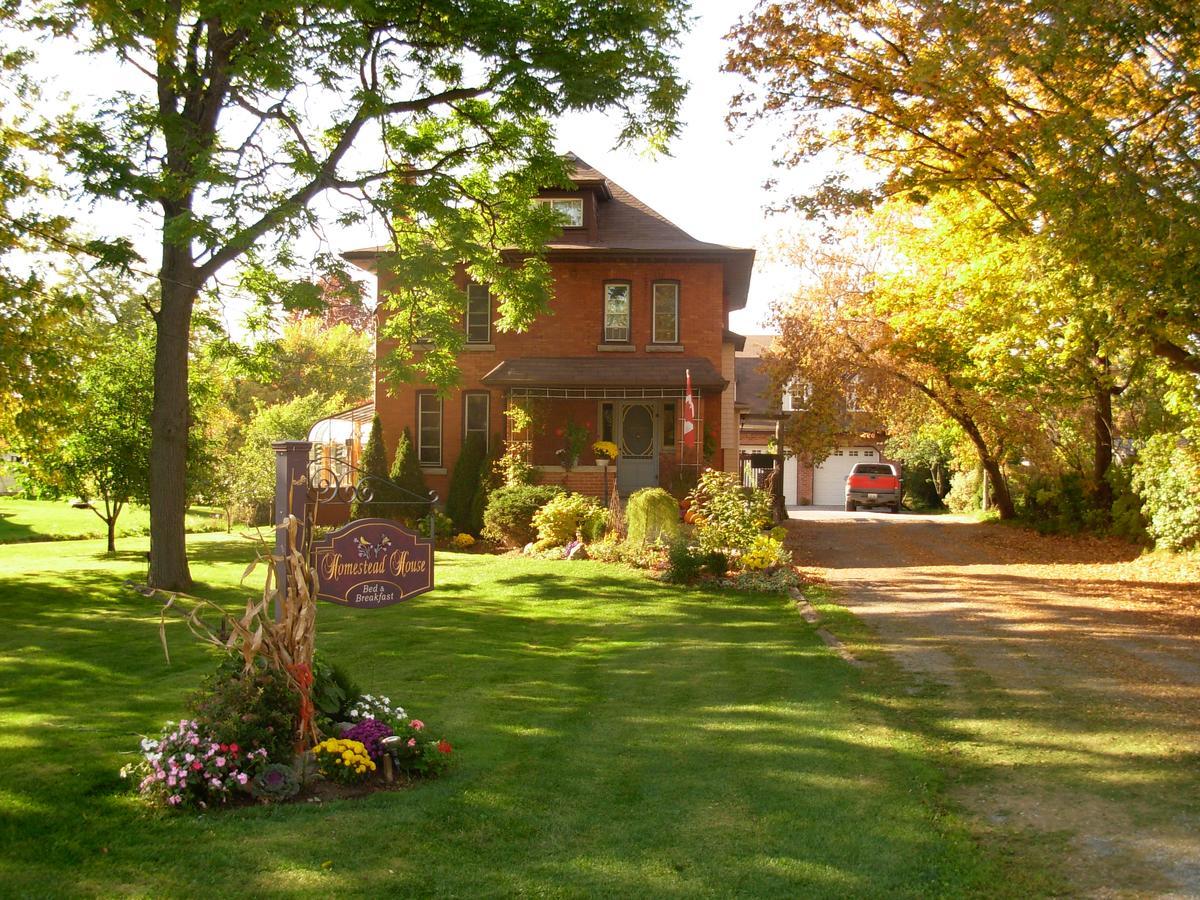 Homestead House B&B Hamilton Exterior foto